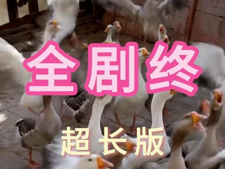 纸扎匠禁忌后续结局
#纸扎匠禁忌
#纸扎匠禁忌短剧
#纸扎匠禁忌后续
纸扎匠禁忌后续结局
纸扎匠禁忌剧情
纸扎匠禁忌网剧
纸扎匠禁忌剧情
纸扎匠禁忌精彩片段
纸扎匠禁忌演员
纸扎匠禁忌解说
纸扎匠禁忌番外
纸扎匠禁忌简介
亿万短剧抢先看
纸扎匠禁忌大结焗
纸扎匠禁忌打架后续
短剧纸扎匠禁忌精彩后续害羞
纸扎匠禁忌真相大白
纸扎匠禁忌得知真相
纸扎匠禁忌番外篇
意想不到的结局
精选好剧
纸扎匠禁忌下载
纸扎匠禁忌演员表
纸扎匠禁忌男主
纸扎匠禁忌女主
纸扎匠禁忌男女主
纸扎匠禁忌短剧演员
纸扎匠禁忌反转剧情
纸扎匠禁忌短剧
每天持续更新好剧
抖音剧集
反转剧情
纸扎匠禁忌后续
纸扎匠禁忌纯享版
纸扎匠禁忌一口气看完
纸扎匠禁忌短剧热播
纸扎匠禁忌短剧最新剧情
纸扎匠禁忌最新剧