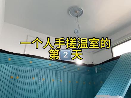 更新温室进展,流感刚好身体虚。