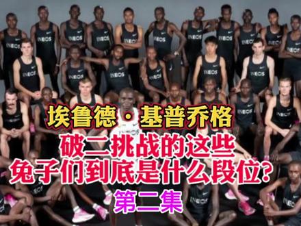 基普乔格破二挑战的兔子们到底是什么段位?他们能不能破二?#马拉松 #跑步 #竞技体育 #运动 #训练 #比赛 #破二挑战 #破二计划 #团队精神 #兔子