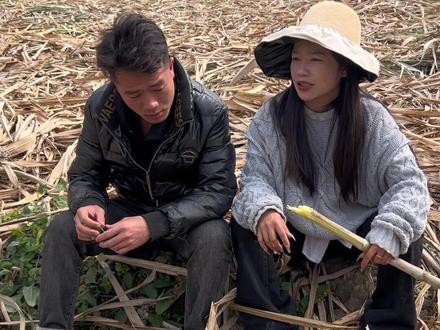 帮你砍50亩甘蔗你竟然说我们不合适#岑海华