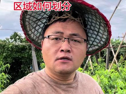 阳山水蜜桃的地域怎么划分? 那么多外地桃到底如何去阳山的区域#真实生活分享计划#我的乡村生活 #乡村守护人 #正能量 #抖音助农 @抖音小助手 @抖音创作灵感 @抖音生活服务 @抖音作者助手 @抖音创作者大会 @抖音媒体内容优推官 @我要上热门