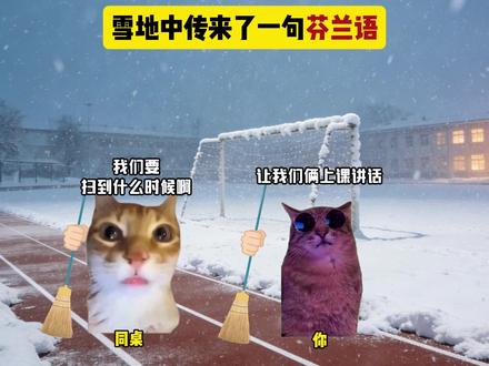 雪地中传来了一句芬兰语 #猫meme #音乐 #西蒙海耶小曲