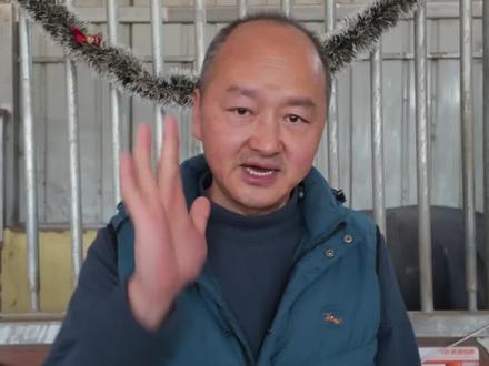 最快的五种马#马 #骑马 #马术