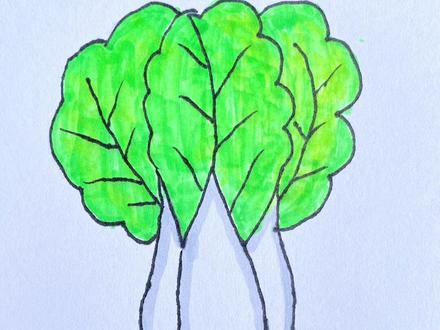 简笔画-小青菜#亲子简笔画 #创意儿童画 #想画就画 #一学就会系列 #萌知计划@DOU+小助手