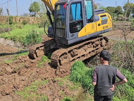 鱼塘修复清淤的智慧与成果——“金包银”法带来新生#鱼塘清淤 #金包银 #堤坝修整