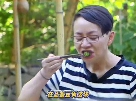 品鉴豆角这块,宋丹丹说第二,没人敢说第一!#宋丹丹 #豆角