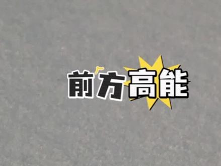 好像有只雪耗子#老鼠 #雪地里撒欢 #雪 #热门 @跟着鱼菠逛吃喝