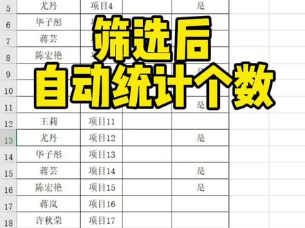 筛选后自动统计个数#excel技巧 #excel #excel教程