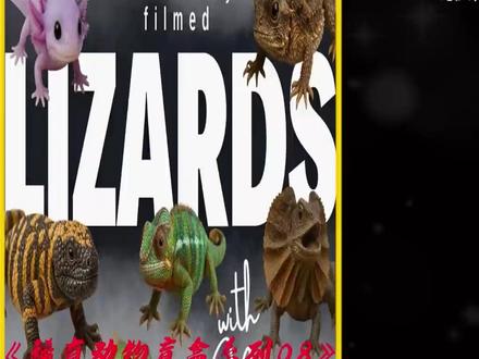 #山海经 #山海经幻想录 #速通挑战 #儿童动画