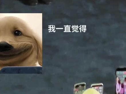 宣发全靠拉踩男性?打拳电影为啥越来越多了?