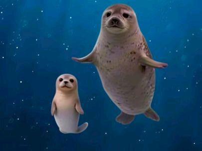 诡异短片(救救) #诡异#恐怖#短片#动物#胆小慎入