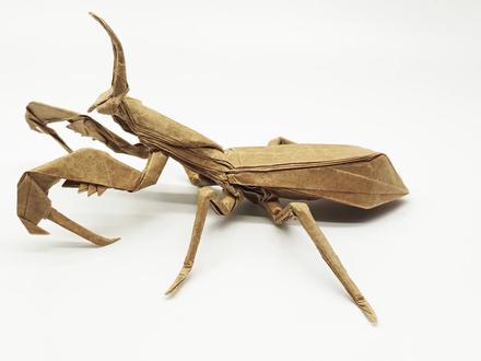 神仙折纸作品-螳螂完整教程(第二部分) #折纸 #手工 #diy