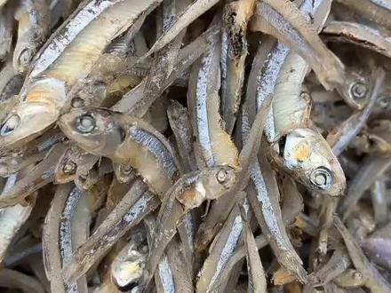 海雁鱼,也叫银鱼,非常干
可以直接吃,也可以泡泡,辣炒,凉拌非常好吃😋