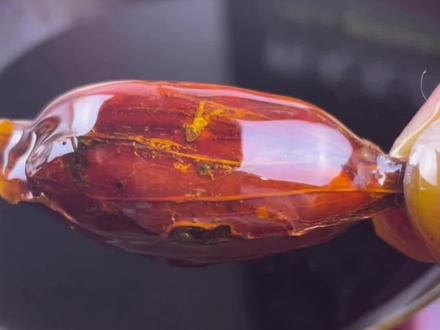 黄栀子糖色配方,精确到克,卤菜上色就是好看,卤菜店必备。#餐饮创业 #卤菜 #卤味 #卤味学院