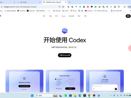 Open AI 官网原生 Codex 高级用法配置,国内免梯、永不封控!