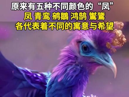 你知道上古五凤是哪五凤吗?五凤指的是凤凰的五个种类,其中凤凰一共分为五种:凤,鹓雏,鸑鷟,青鸾,鸿鹄。凡像凤者有五色,多赤者凤,多青者鸾,多黄者鹓鶵,多紫者鸑鷟,多白者鸿鹄”
1、凤凤是凤凰的简称,神话传说中的百鸟之王。雄的称凤;雌的称凰,通称凤。在远古时代被视为神鸟而予崇拜。比喻有圣德之人。它是原始社会人们想像中的保护神。
2、鹓雏(yuān chú),中国民间传说中都是瑞鸟。古书上指像凤凰的鸟,并非凤凰。用以比喻贤才或高贵的人。
3、青鸾是常伴西王母的一种神鸟,多为神仙坐骑。赤色多者为凤,青色多者为鸾。传说中类似凤凰一类的神鸟,是祥和、喜庆的瑞兆。
4、鸑鷟(yuè zhuó),鸑鷟是古代中国民间传说中的五凤之一,身为黑色或紫色,鸑鷟象征着坚贞不屈的品质。
5、鸿鹄(hóng hú),鸿是指大雁,而鹄则是天鹅。鸿鹄是古人对秃鹰之类飞行极为高远鸟类的通称。在中国的神话传说中,鸿鹄则是白色的凤凰
