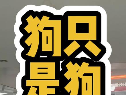 对于咱们的💦去来说
狗只是狗
这个结果并不值得庆祝
但也值得庆祝
#papi妈妈 #毛孩子 #西高地papi妈妈 #动物保护法 #老北京