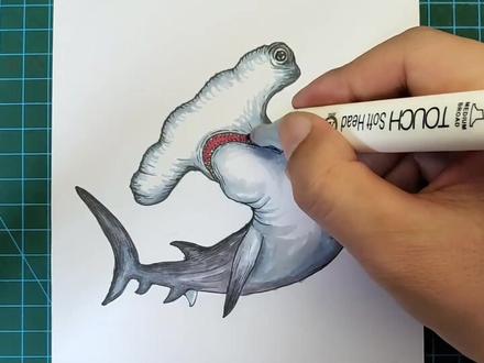 #马克笔绘画 #马克笔教程 可爱的锤头鲨