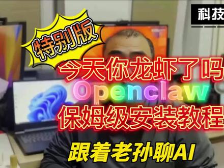 #openclaw #龙虾 #ai #agent #人工智能 今天你龙虾了吗?Openclaw保姆级安装教程