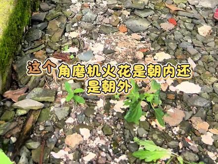 #角磨机 #真实分享计划 #高壹工机 #高壹工机工业级角磨机 #高壹工机霹雳虎