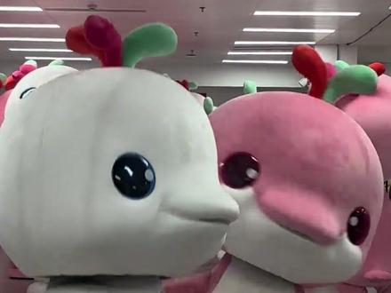 河南40名“10后”武校学生,在全运会扮演“大湾鸡”爆火! 导演:“大湾鸡”头套16斤重 ,卖萌动作系武校学生自己研究的#大河报河南 #全运会 #大湾鸡 #10后 #武术学校 (编辑:晓晓)