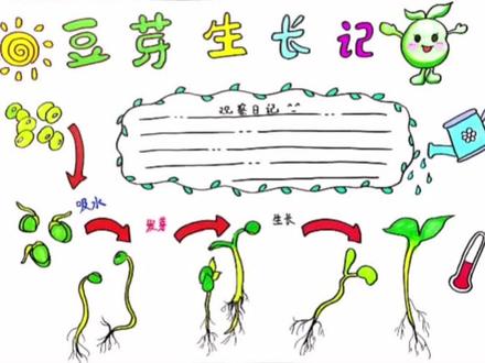 豆芽成长记主题手抄报#豆芽#豆芽成长记#神奇的植物 #小学生手抄报 #手抄报@抖音青少年