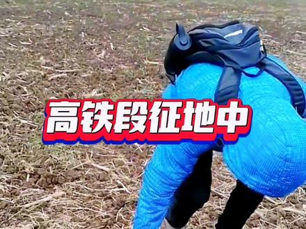 这些村子高铁征地拆迁 看看有你家么 #抖音小助手#同城热门#征迁