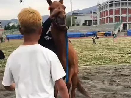 #严父压马头慈母缝战袍 一晚上刷的都是