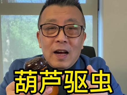 鸣虫文化-一个葫芦,如果给虫蛀了话就毁了#鸣虫葫芦 #一把葫芦的魅力 #文玩雅物