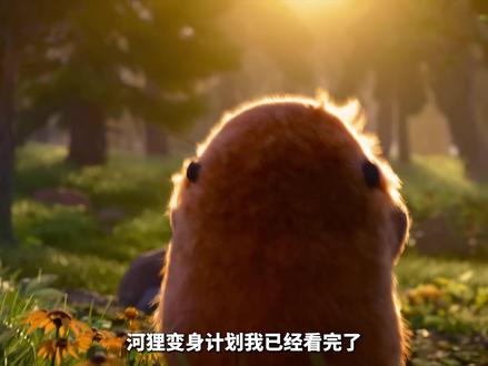 《河狸变身计划》观影报告,有笑有泪 三月必看 #河狸变身计划 #青年创作者成长计划