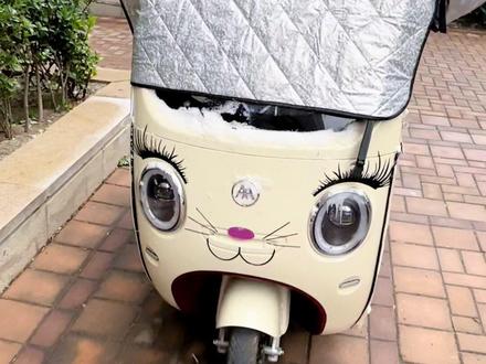 今天出来一看玻璃已经结冰了,车子也没法骑了,早知道昨天晚上就把这个防雪挡拿出来用了#电动三轮车 #防雪挡风玻璃车罩 #防雪防霜车衣