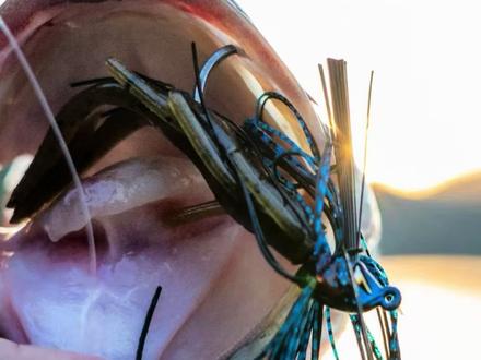 ARK冠军钓手干货:Swim Jig实战作钓搭配分享 #TeamARK #ARK #路亚新手入门教程 @ARK运动户外