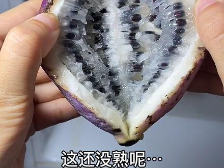 八月瓜:长得像茄子,熟透了里面的果肉像香蕉,吃起来的味道像蜂蜜~