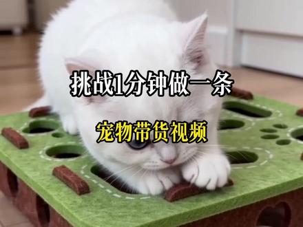 用AI做宠物带货视频,一分钟轻松搞定,保姆级教程,新手小白也能快速学会 #宠物带货 #宠物博主 #宠物模特 #宠物话题