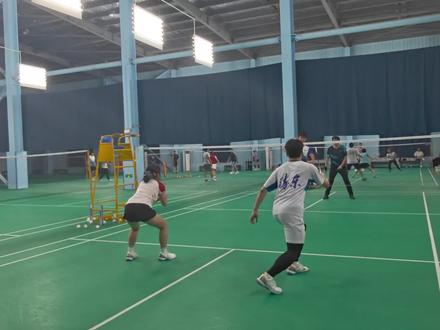 中羽4级用华羽屠夫的杀球效果#羽毛球🏸 #刘辉 #华羽屠夫 #杀球