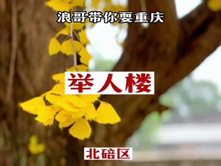 浪哥带你耍重庆-12月15号拍摄的举人楼,银杏开得正好,视频后面有详细线路请耐心看完