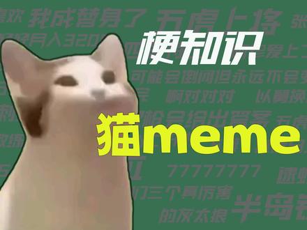 【梗知识】猫meme