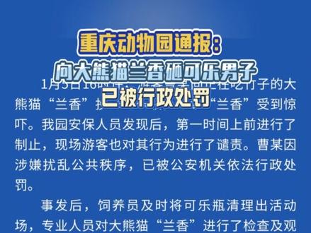 重庆动物园:向大熊猫兰香砸可乐男子已被行政处罚 重庆动物园:向大熊猫兰香砸可乐男子已被行政处罚