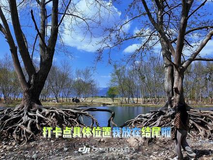 #江浙沪周边游#逐玉 #仙居取景地 #吃喝玩乐分享计划
长相思+逐玉仙居取景地被我找到啦✨
跟着我标注的位置直接冲!
路很窄、路况不好,一路都是小石子
别怕,一直走下去,仙境就在眼前🌿
来赴一场仙侠同款的山野之约吧