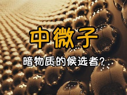“中微子”暗物质的候选者?