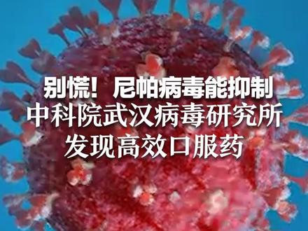 45天潜伏期,致死率最高75% 别慌!尼帕病毒能抑制 中科院武汉病毒研究所 发现高效口服药