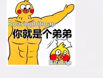 好用不火 | 比BitMap拥有更好性能的Roaring Bitmap#程序员 #干货分享 #计算机 #编程 #代码
