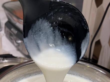 没有酸奶机/酸奶模式,掌握原理普通锅就能做出好吃的酸奶。先巴氏消毒把有害菌杀死,再加入有益菌,有益菌在37-54度之内活跃,靠把乳糖lactose变成乳酸lactic acid 供能。乳酸降低牛奶PH值,是蛋白质凝固。 #动手自己做美食 #自制酸奶 #大人小孩都爱吃 #酸奶制作方法 #有手就会