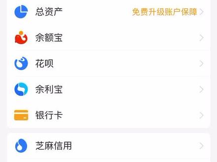 #信用购 出来混,总是要还的!#支付宝 #还款 #账单 #理财 #支付宝升级