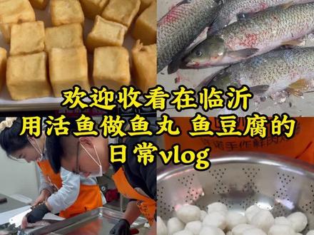临沂的朋友们终于能吃到有鱼的鱼豆腐了#鱼豆腐 #手工鱼丸 #鲜肉烤肠 #纯手工制作美食 #创业路上的我们