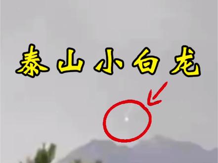 这是塑料袋吗?#泰山小白龙