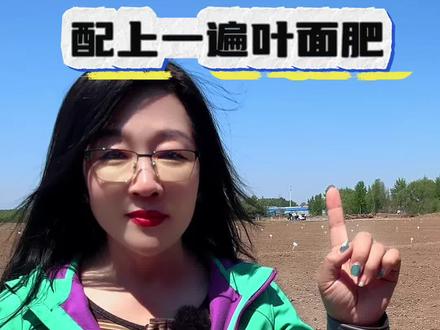 玉米施肥口诀,记住了亩产超2000 #我要上热门🔥 #农民#农村#三农#农业