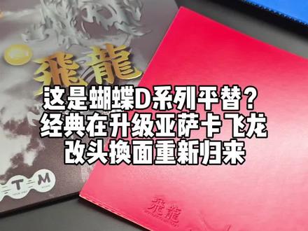 这是蝴蝶D系列的平替吗?国手用国的胶皮经典在升级亚萨卡飞龙改头换面重新归来#乒乓球