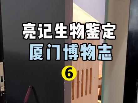 海鲜博主工作室里的美丽海物 #亮记生物鉴定 #在抖音学习 #抖音学习课代表