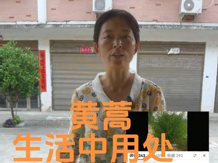 黄蒿在生活中使用的小技巧。#青蒿素